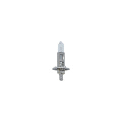 Bombilla para coche Carpoint Premium H1 12V 55W 